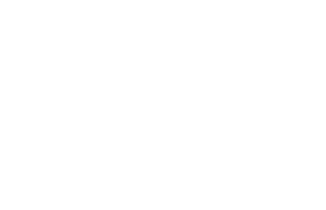 お祝いホールケーキ